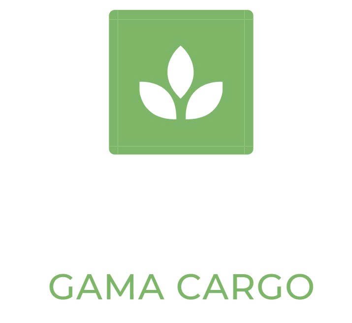 gamacargo.cisnecargoqc.com